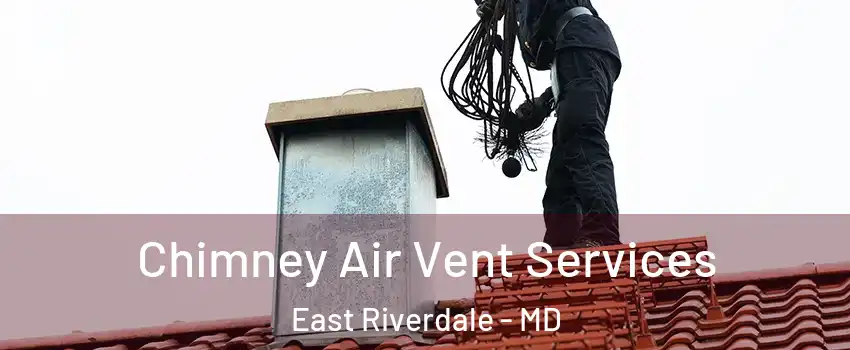  Chimney Air Vent Services East Riverdale - MD