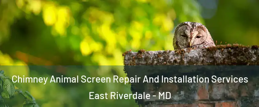  Chimney Animal Screen Repair And Installation Services East Riverdale - MD