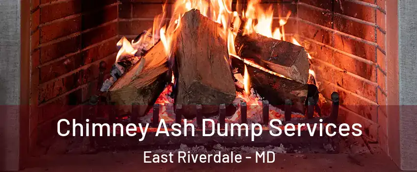  Chimney Ash Dump Services East Riverdale - MD