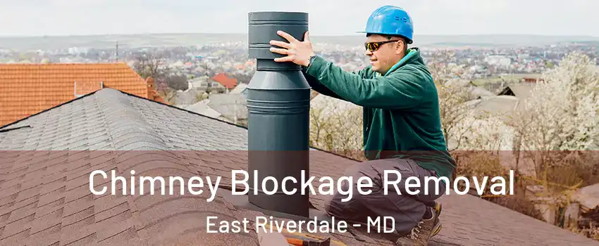  Chimney Blockage Removal East Riverdale - MD