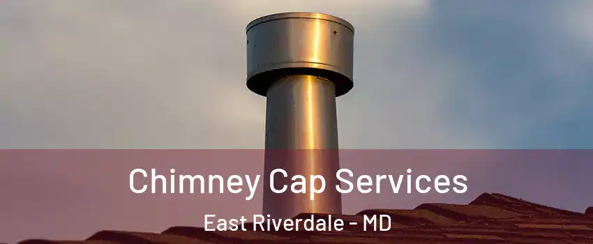  Chimney Cap Services East Riverdale - MD