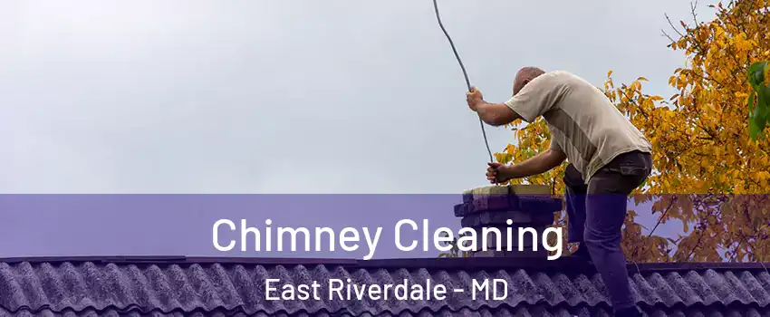  Chimney Cleaning East Riverdale - MD