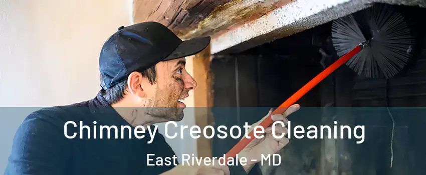  Chimney Creosote Cleaning East Riverdale - MD