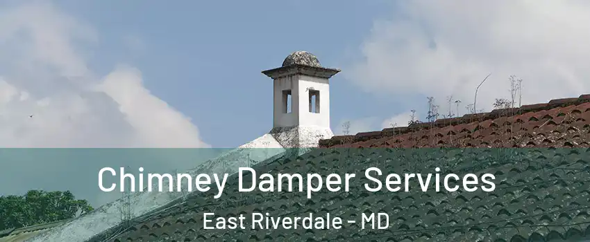  Chimney Damper Services East Riverdale - MD