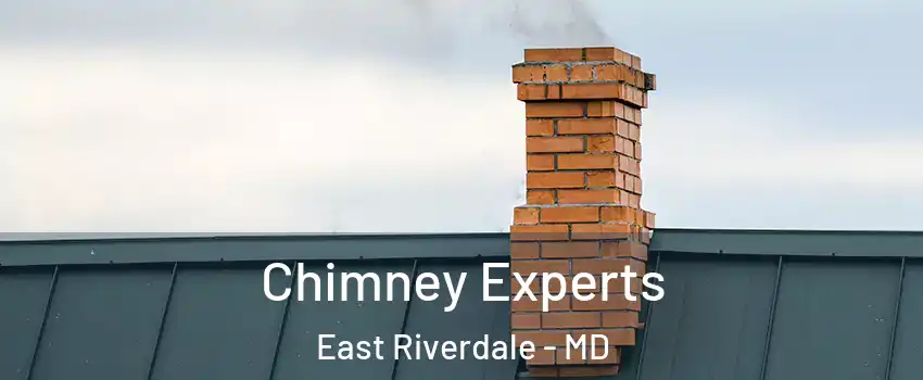  Chimney Experts East Riverdale - MD