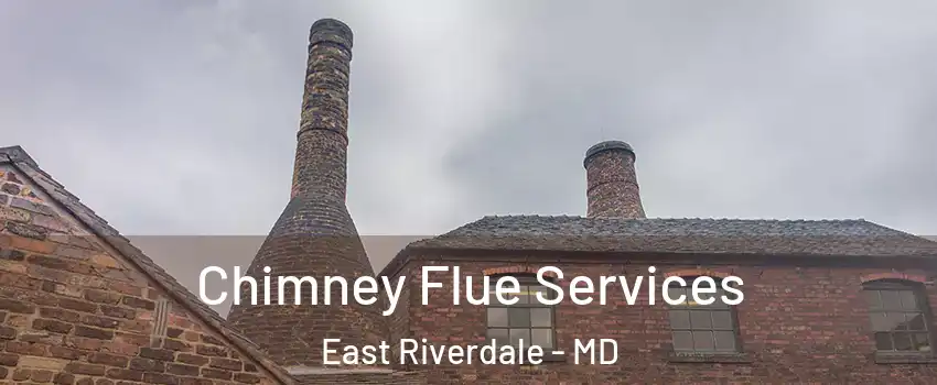  Chimney Flue Services East Riverdale - MD