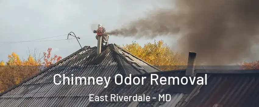  Chimney Odor Removal East Riverdale - MD