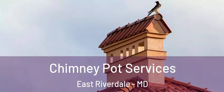  Chimney Pot Services East Riverdale - MD