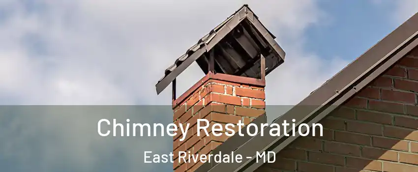 Chimney Restoration East Riverdale - MD