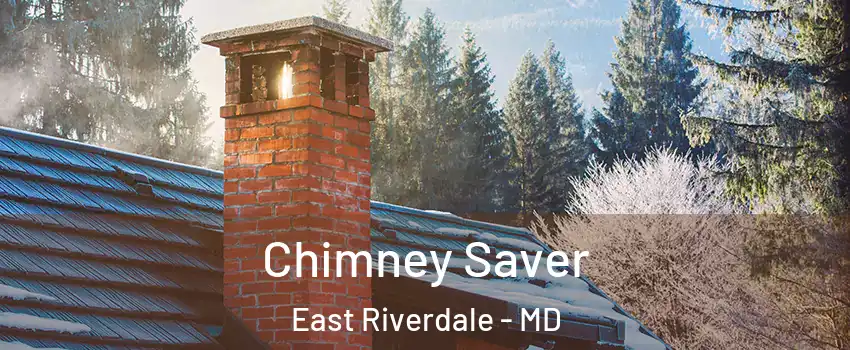  Chimney Saver East Riverdale - MD