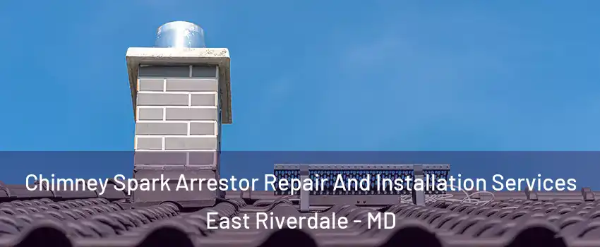  Chimney Spark Arrestor Repair And Installation Services East Riverdale - MD