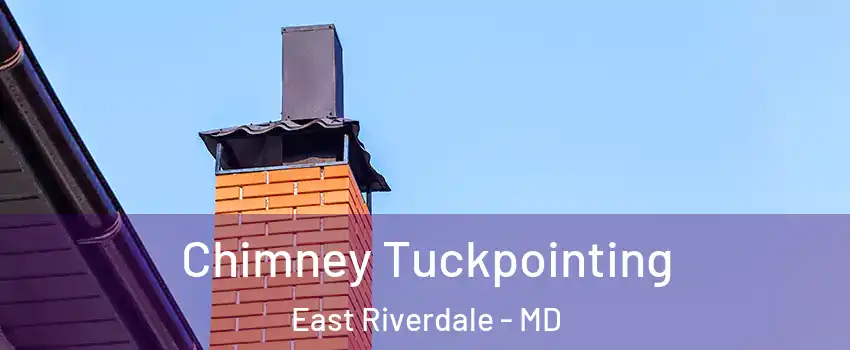  Chimney Tuckpointing East Riverdale - MD