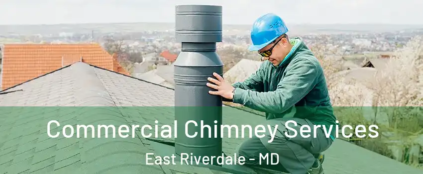  Commercial Chimney Services East Riverdale - MD