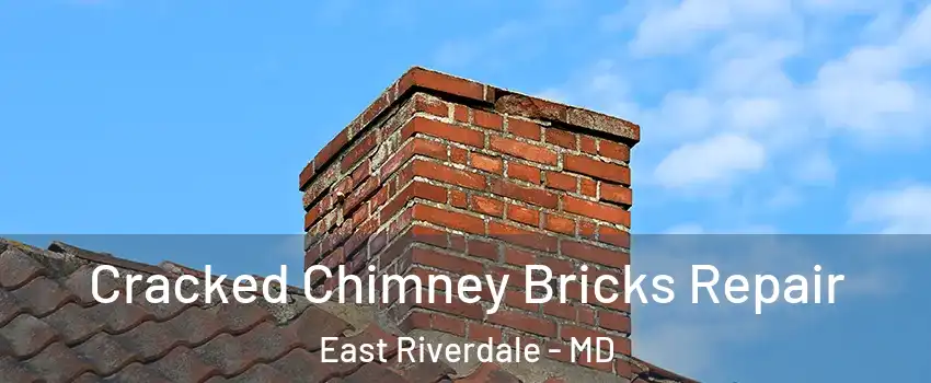  Cracked Chimney Bricks Repair East Riverdale - MD