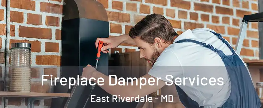  Fireplace Damper Services East Riverdale - MD