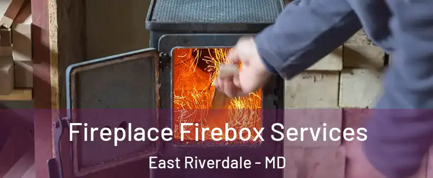  Fireplace Firebox Services East Riverdale - MD
