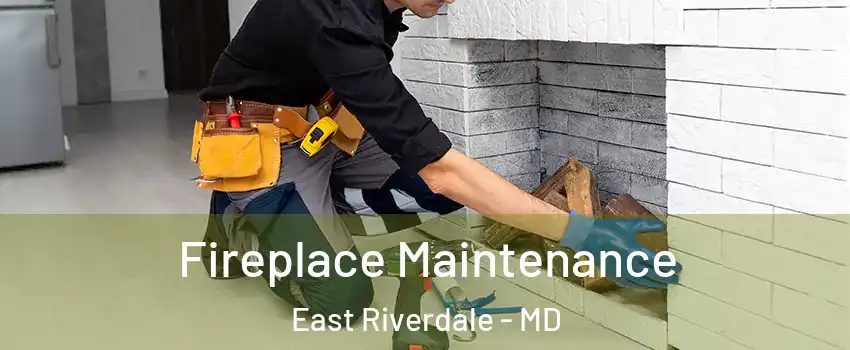  Fireplace Maintenance East Riverdale - MD