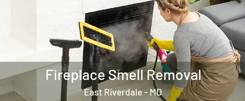  Fireplace Smell Removal East Riverdale - MD