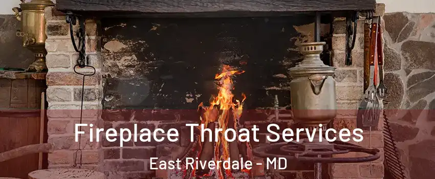  Fireplace Throat Services East Riverdale - MD