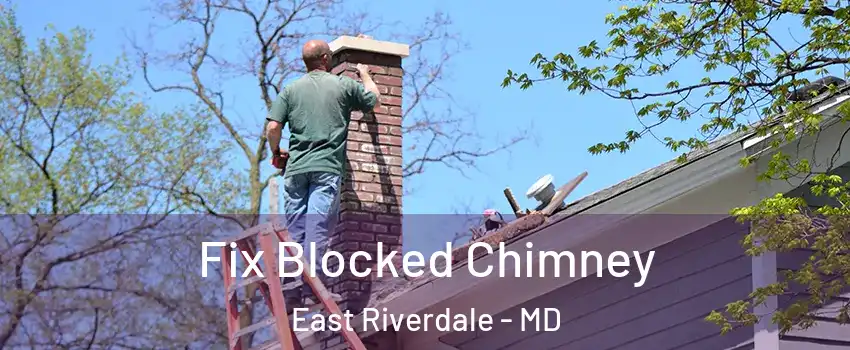  Fix Blocked Chimney East Riverdale - MD