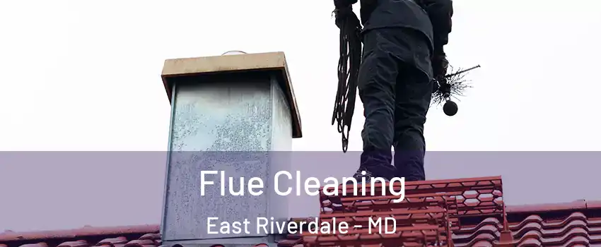  Flue Cleaning East Riverdale - MD