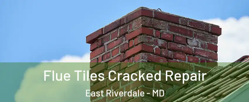  Flue Tiles Cracked Repair East Riverdale - MD