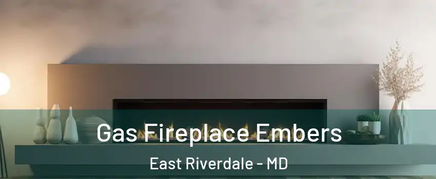  Gas Fireplace Embers East Riverdale - MD