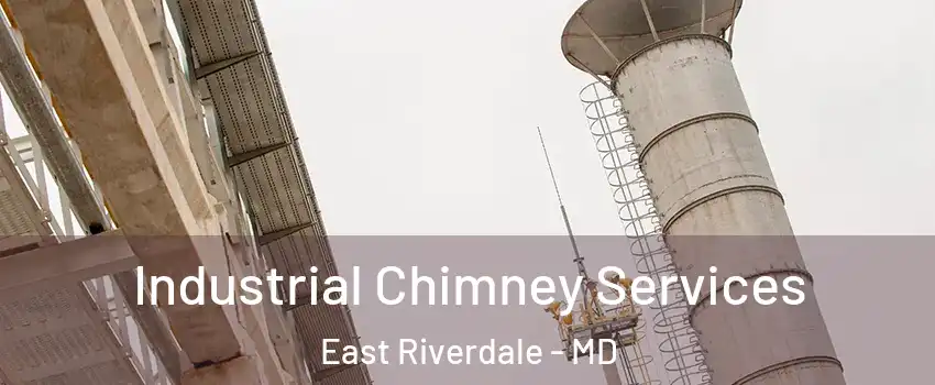  Industrial Chimney Services East Riverdale - MD