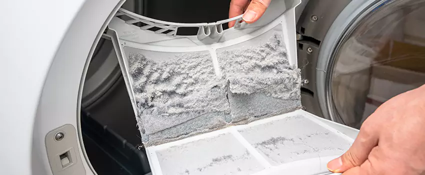 Best Dryer Lint Removal Company in East Riverdale, Maryland