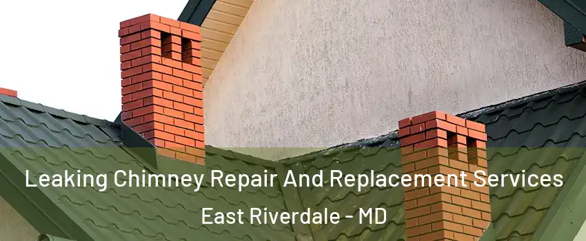  Leaking Chimney Repair And Replacement Services East Riverdale - MD