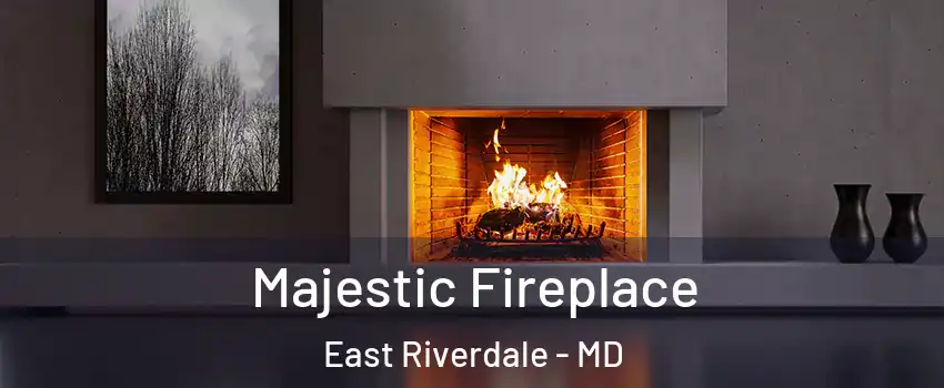  Majestic Fireplace East Riverdale - MD