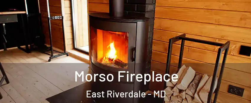  Morso Fireplace East Riverdale - MD