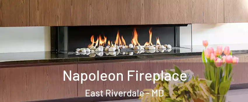  Napoleon Fireplace East Riverdale - MD