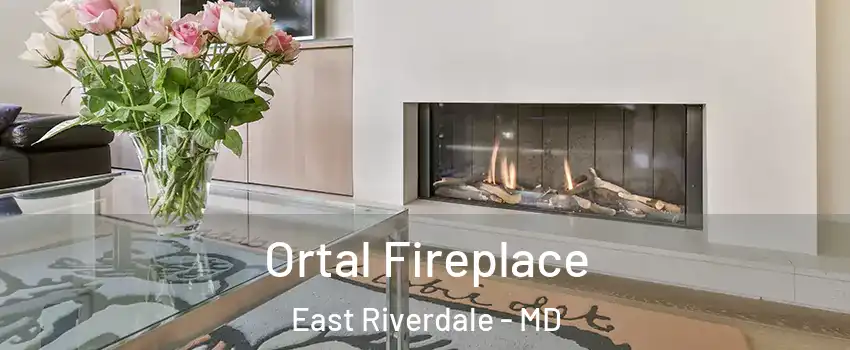  Ortal Fireplace East Riverdale - MD